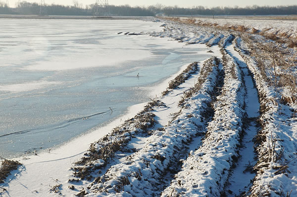 Frozen field, near Crumstown 