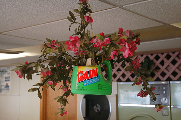 Recycled planter, Wolcottville Laundromat