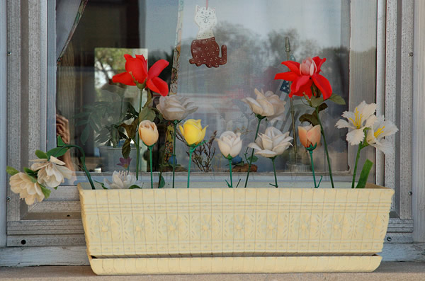 Plastic flowers in a window, Rensselaer