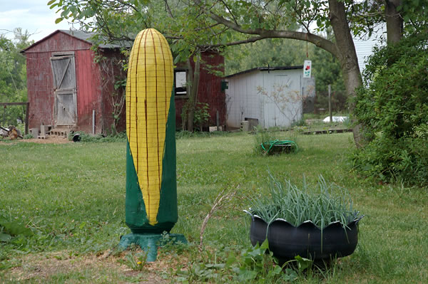 Corn sculpture, Haag's Orchard, Walkerton 
