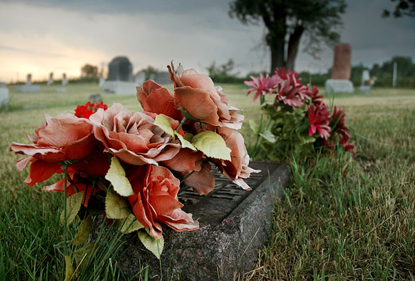 Flowers and approaching storm, Crumstown Cemetery