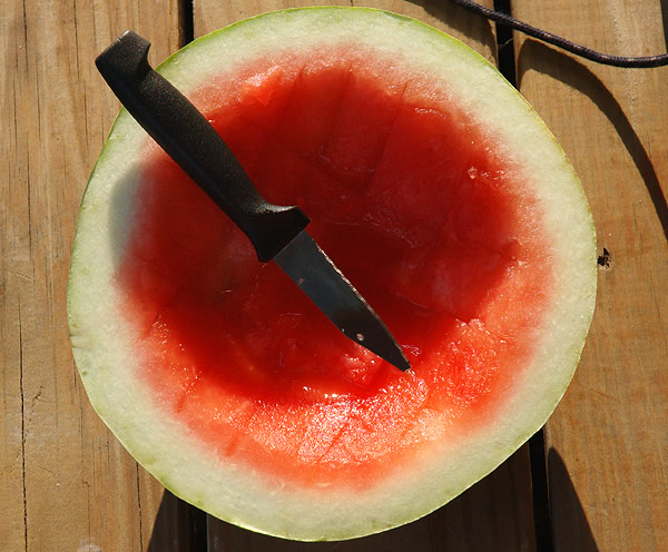 Watermelon rind 