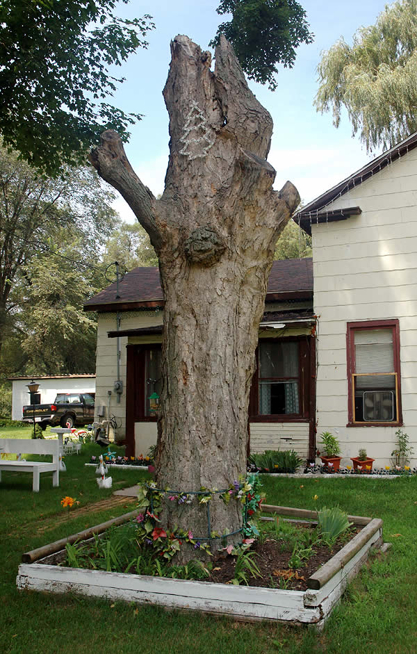Decorated tree, Ontario