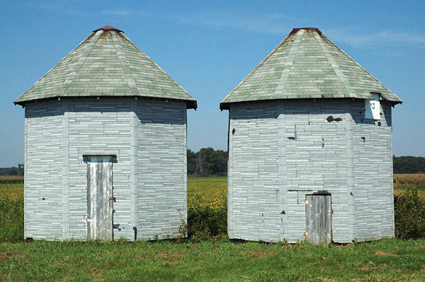 Two shingled corn cribs