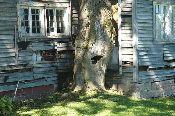 Old house and tree, Donaldson 