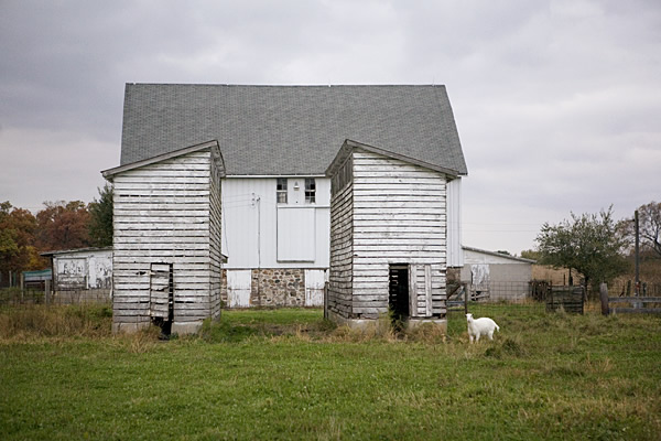 Two grain bins and a goat, Starke County 