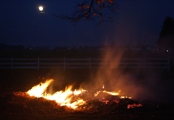 Moon with burning leaf pile
