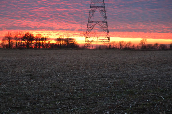 Sunset, field and powerline