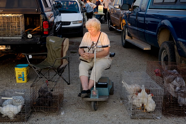 Vendor, Animal Swap Meet, Kankakee, IL