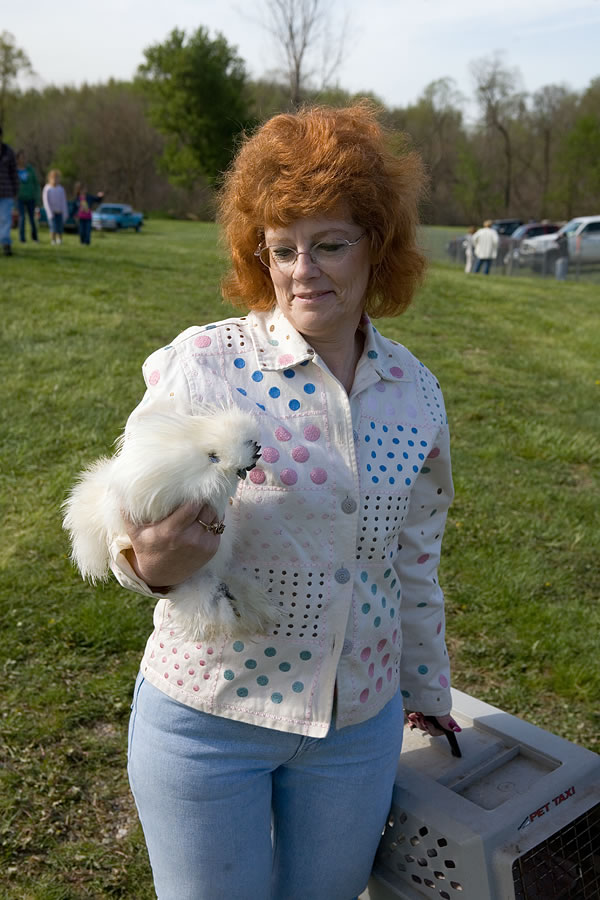 Woman taking home a Silkie Bantam, Animal Swap Meet, Ligonier